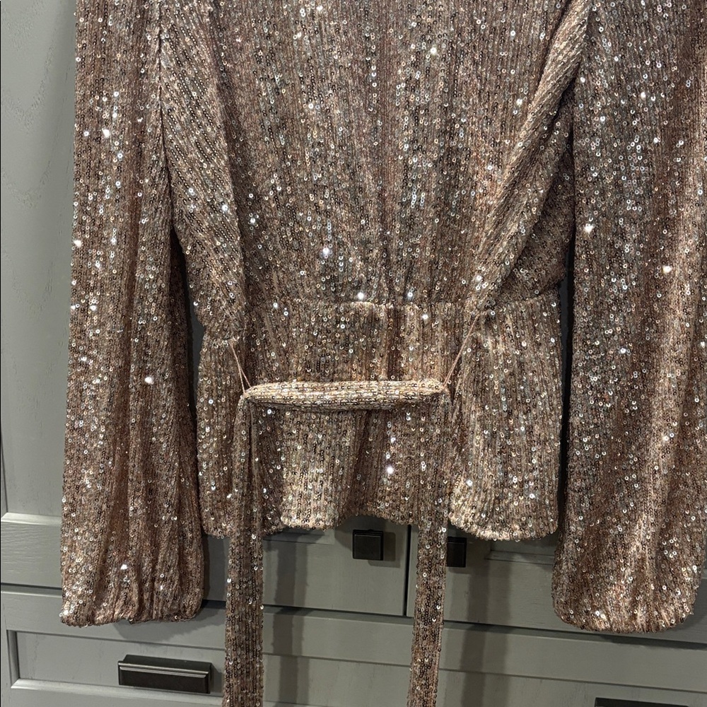 Endless Rose Sequin Blouse in Gold - Picture 6 of 7
